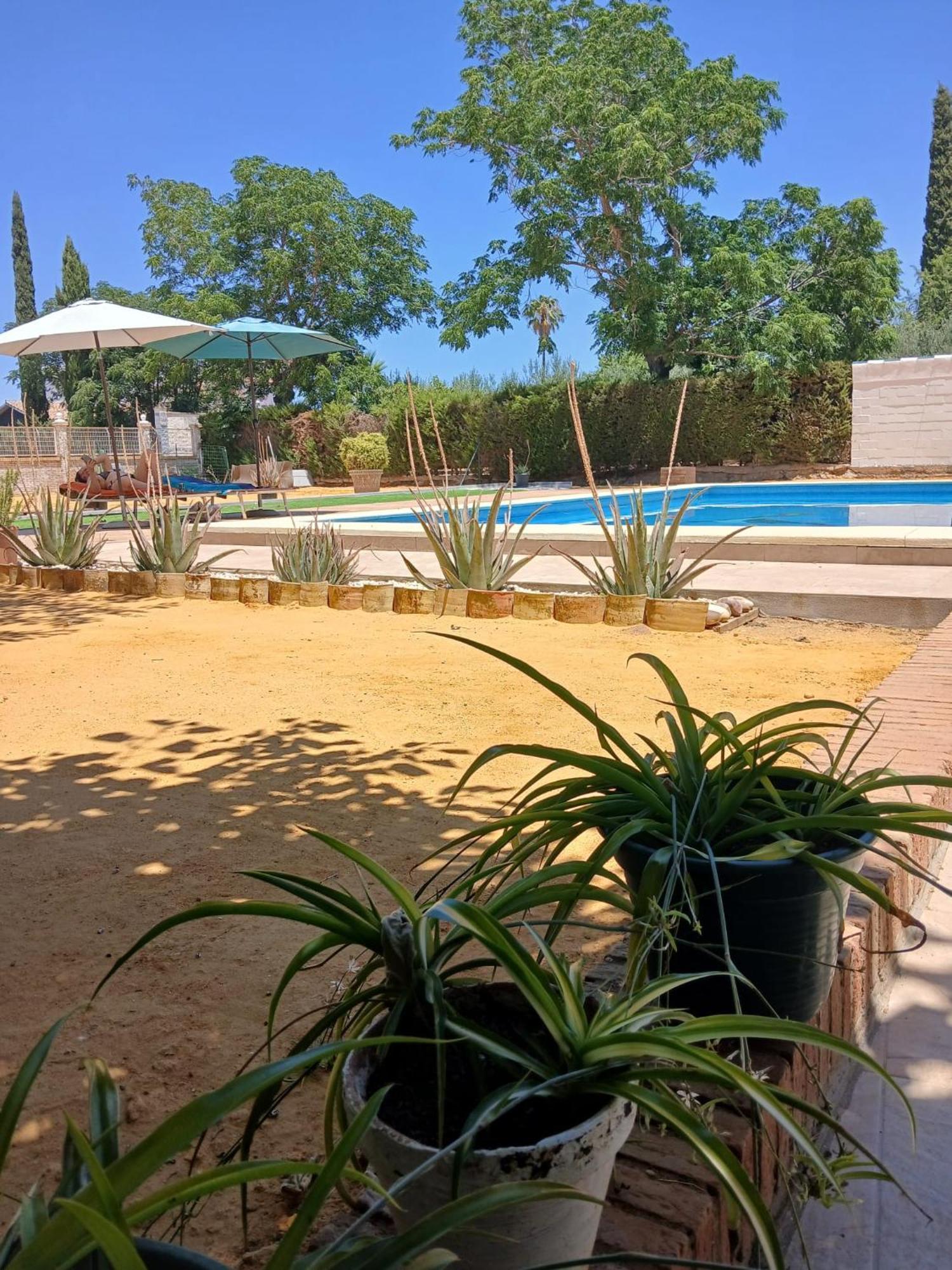 Relaxing Home Carmona  Extérieur photo